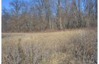 Property photo 25 - East Allen County - 55 Acre Land Auction